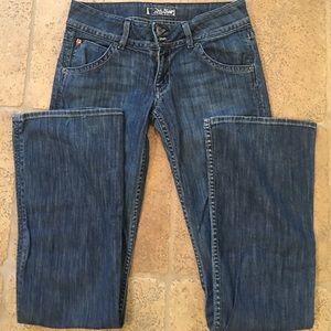 Hudson flare jeans